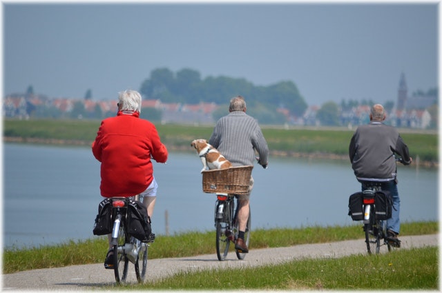 Seniors à bicyclette dans la nature.